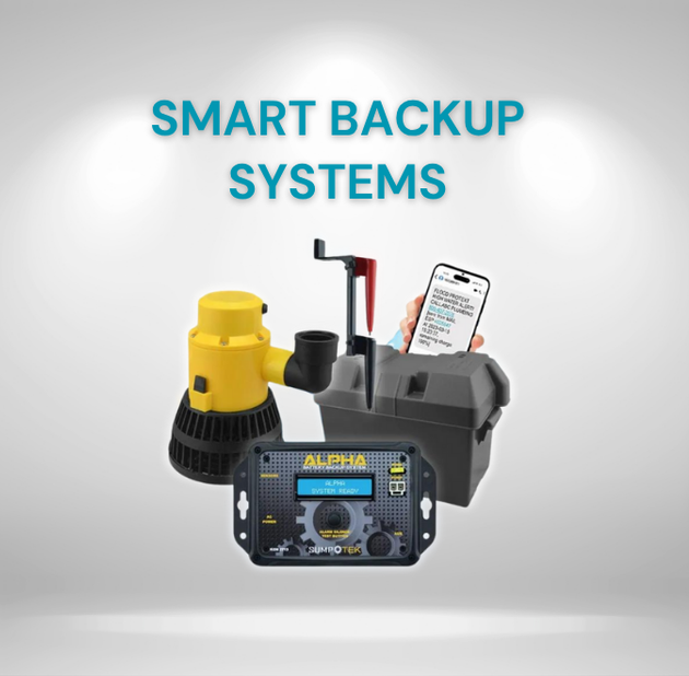Smart backup systems